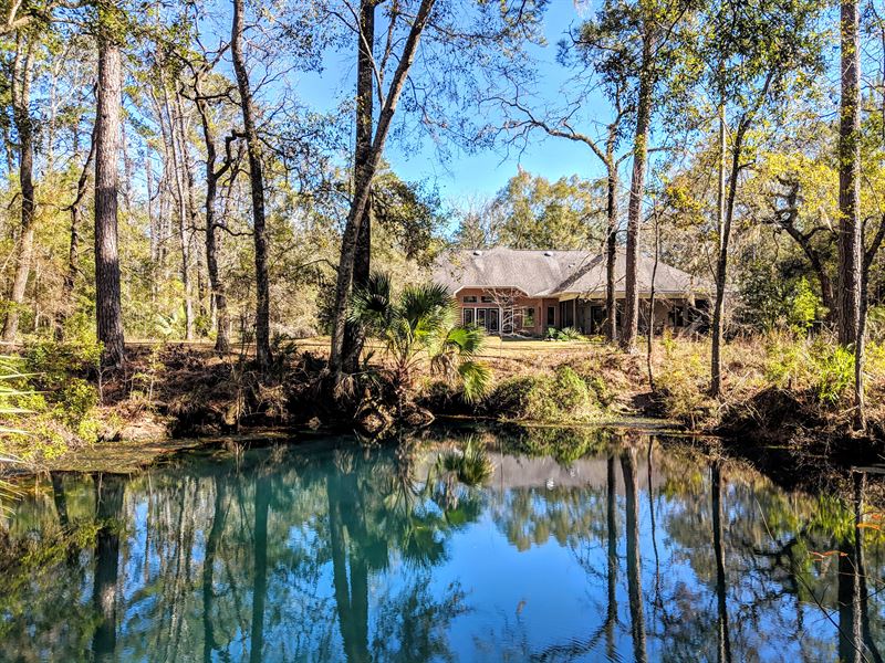 Stunning Estate and Land, Spring : Crawfordville : Wakulla County : Florida