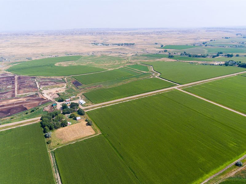 Kinsey Irrigated F&F North Unit : Kinsey : Custer County : Montana