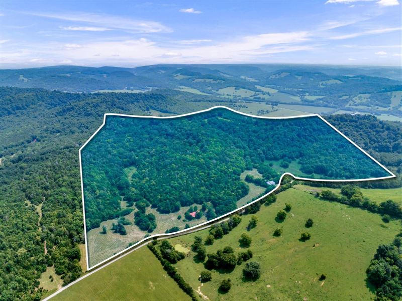 81.5 Acres of Turn-Key Hunting : Petersburg : Lincoln County : Tennessee