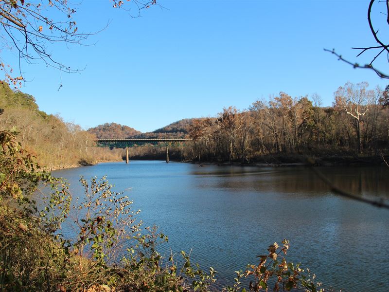 White River Front Property Arkansas : Eureka Springs : Carroll County : Arkansas