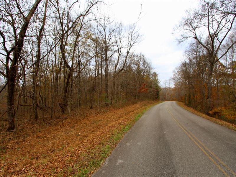 Amazing Location- 25 Acres : Santa Fe : Maury County : Tennessee
