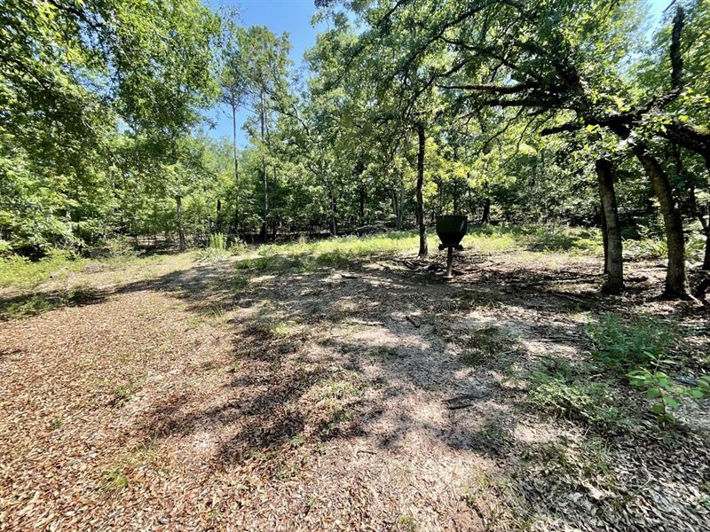 180 Acres Stewart County : Richland : Stewart County : Georgia
