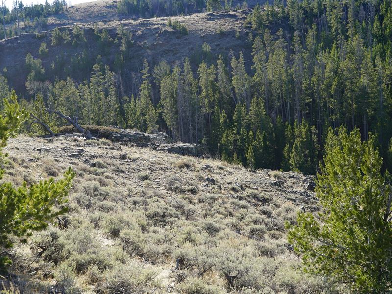 Slate Creek Lot 3 : Lander : Fremont County : Wyoming