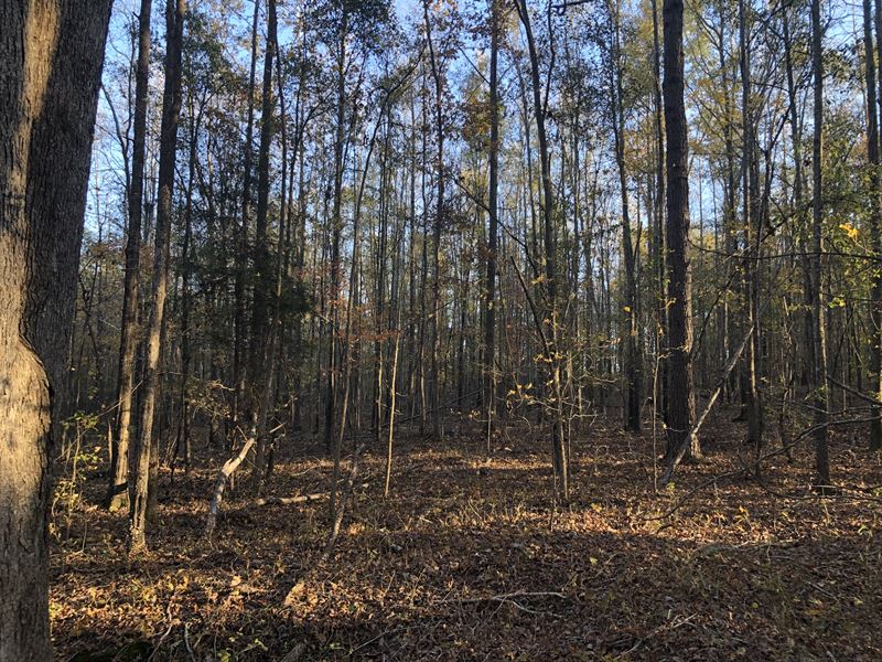 Industrial/ Commercial Tract : Honea Path : Anderson County : South Carolina