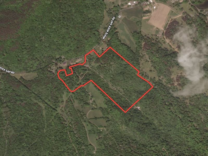 43 Acres of Timbe : Covington : Alleghany County : Virginia
