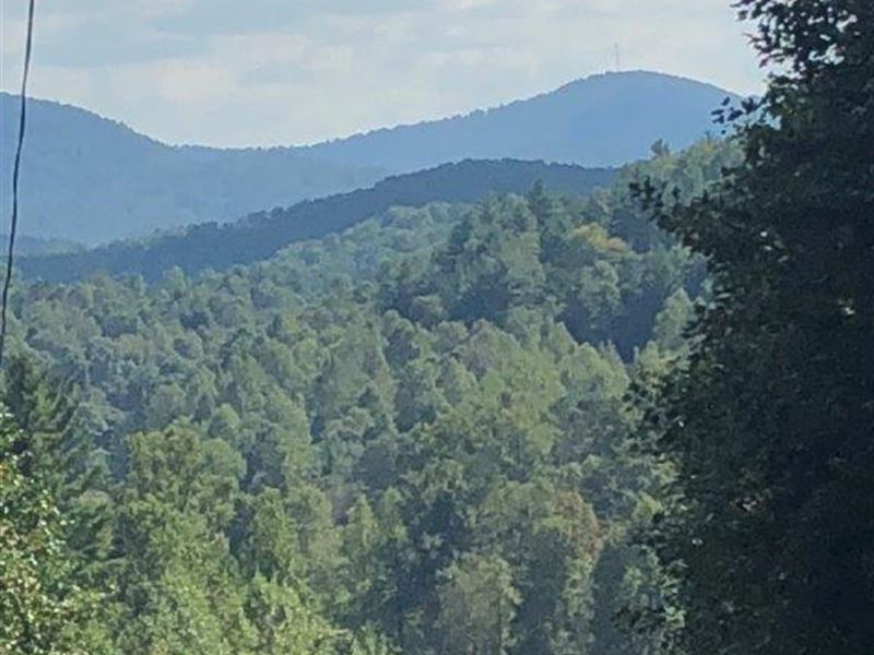 Bryant Creek Overlook : Ellijay : Gilmer County : Georgia
