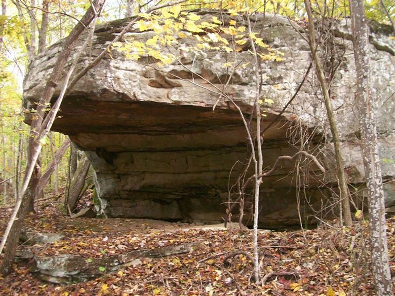 Private 96.66 Acre Retreat : Pikeville : Bledsoe County : Tennessee
