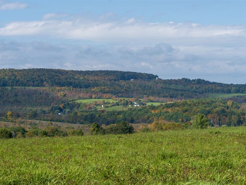 Upstate Farm Land Sale : Sharon Springs : Schoharie County : New York