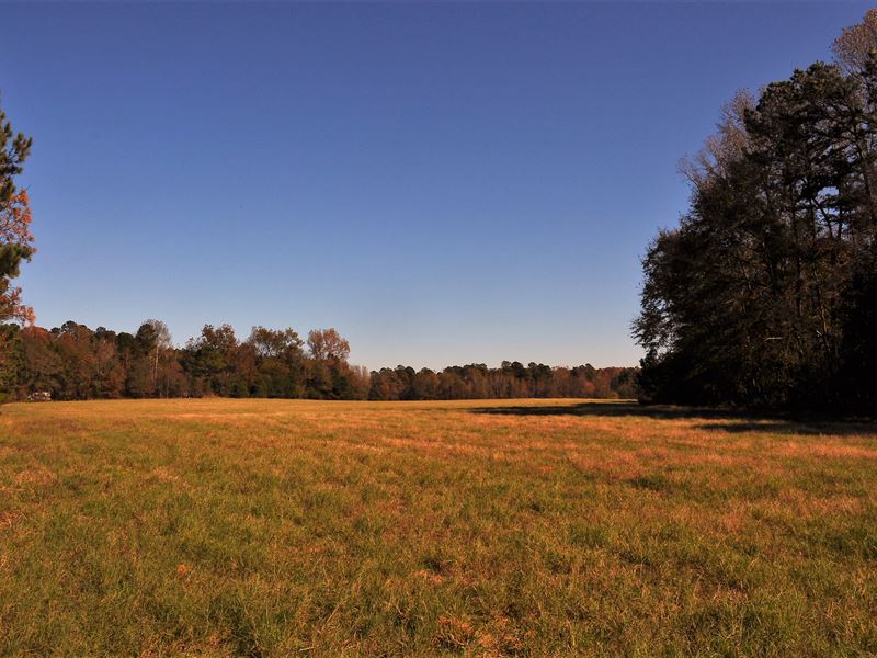 Oliver Creek : Greensboro : Greene County : Georgia