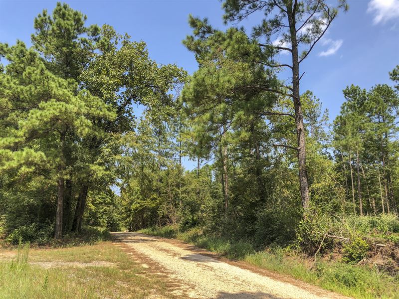 89 Ac Cr 1488 : Center : Shelby County : Texas