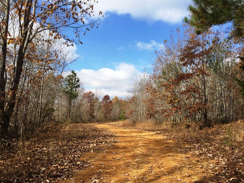 County Line West Tract : Linden : Perry County : Tennessee