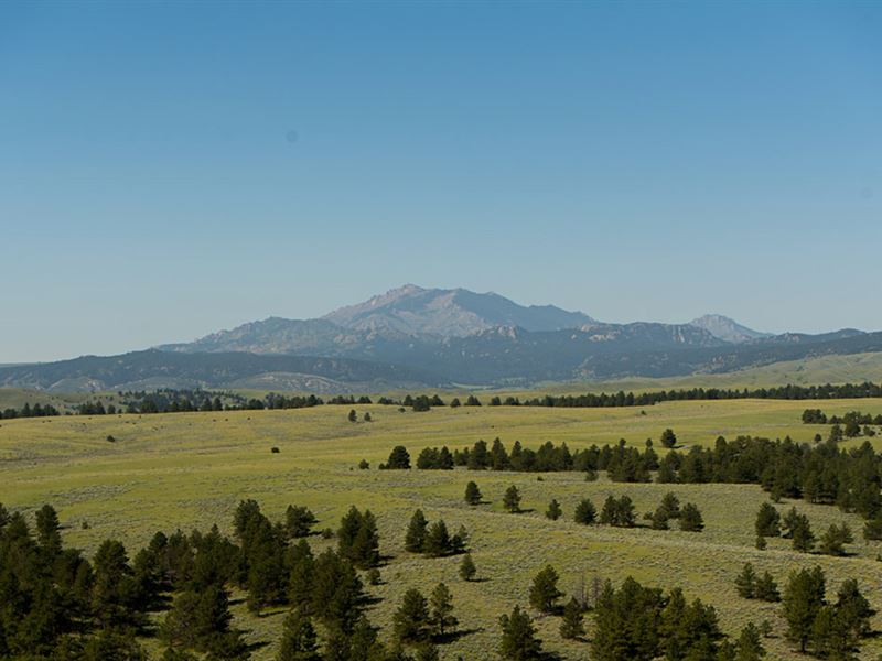 Ck Spring Creek Summer Ranch, Ranch for Sale in Wyoming, 183242