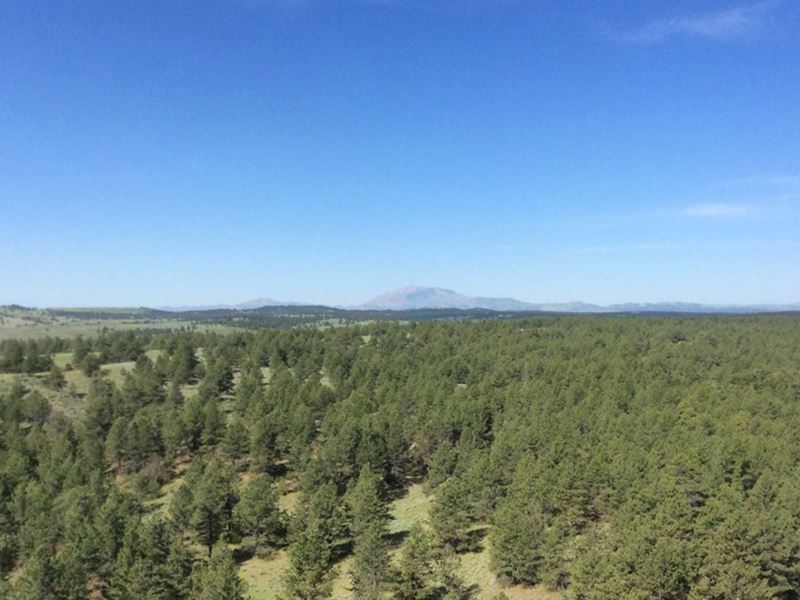 Ck Pine Ridge Ranch, Ranch for Sale in Wyoming, 183243 RANCHFLIP