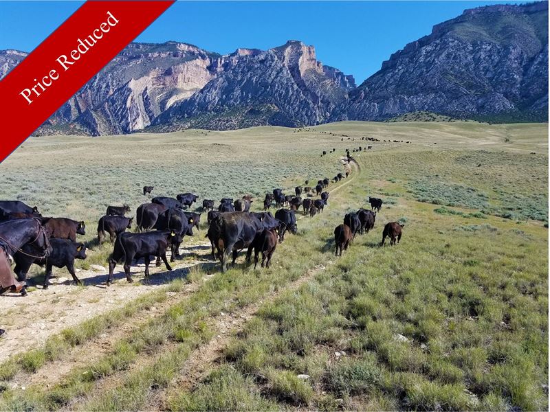 2079 Acre Wyoming Cattle Ranch : Shell : Big Horn County : Wyoming
