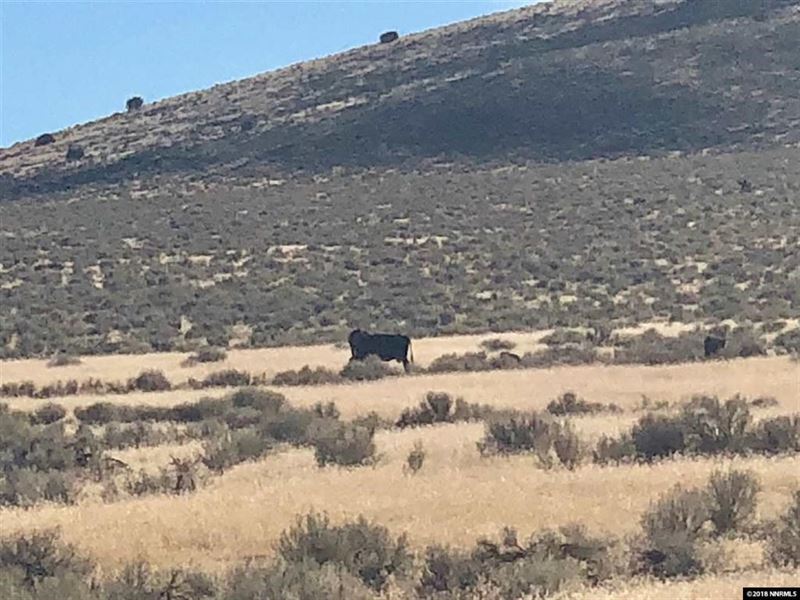 320 Acres Winnemucca NV Humbolt, Ranch for Sale in Nevada, 183523 RANCHFLIP