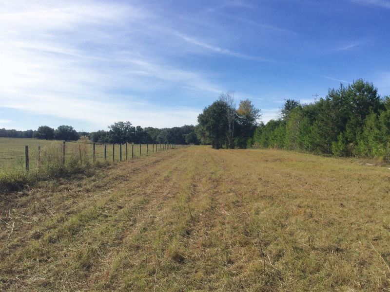 38.50 Acres Open Land : Wellborn : Suwannee County : Florida