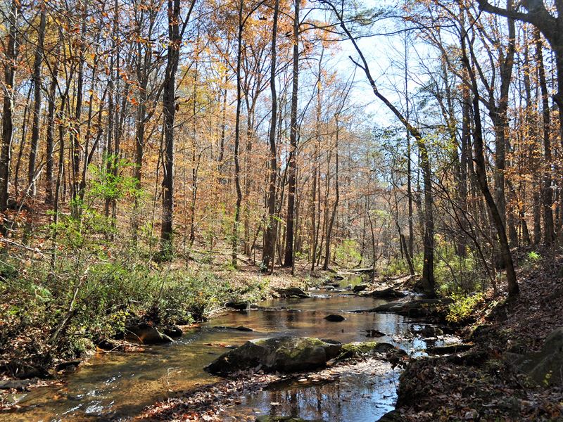 Wrayswood Tract : Carrollton : Carroll County : Georgia