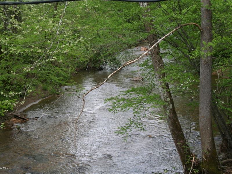 87 Acres Land Henry County : Bassett : Henry County : Virginia