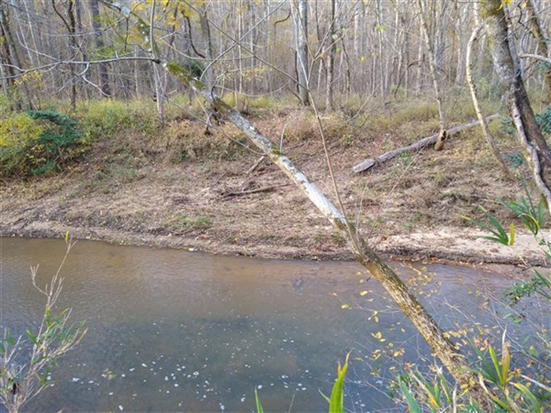 Bold Creek, Hardwoods, Syrupmill Rd : Ridgeway : Fairfield County : South Carolina