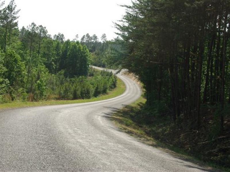 29 Acre Hunting Or Homesite : Margaret : Jefferson County : Alabama