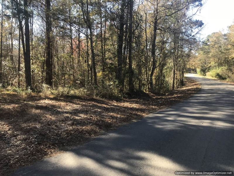 Outstanding Hunting Tract : Heidelberg : Jasper County : Mississippi