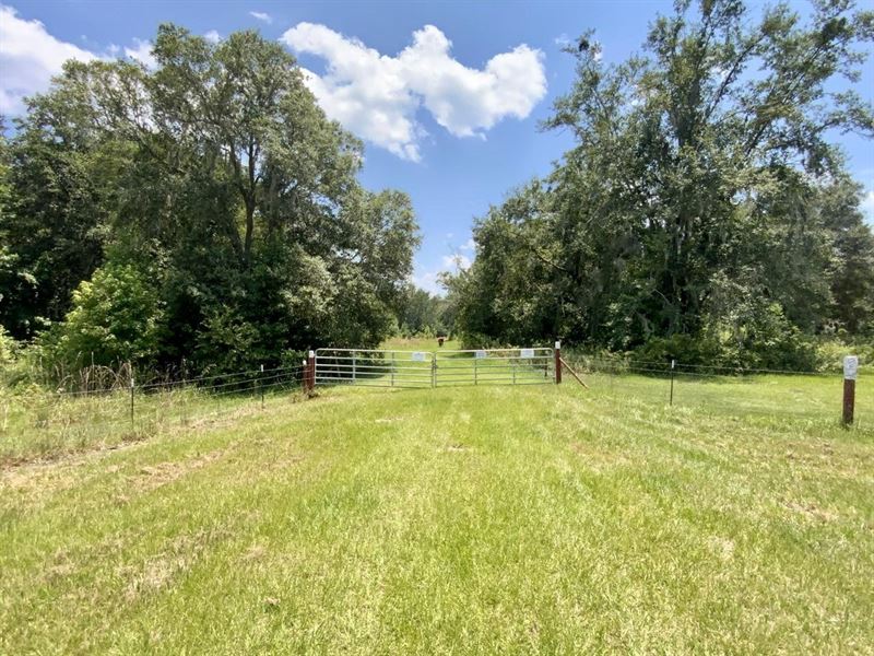 24 Acres Jim Clark Rd : Madison : Madison County : Florida