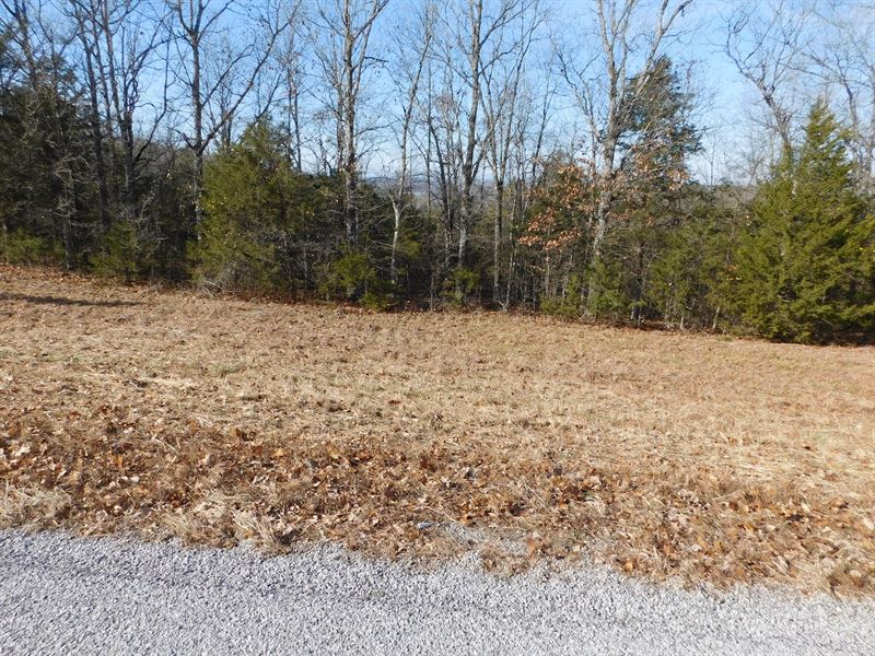 Land Ozark Mountain Bull Shoals : Peel : Marion County : Arkansas