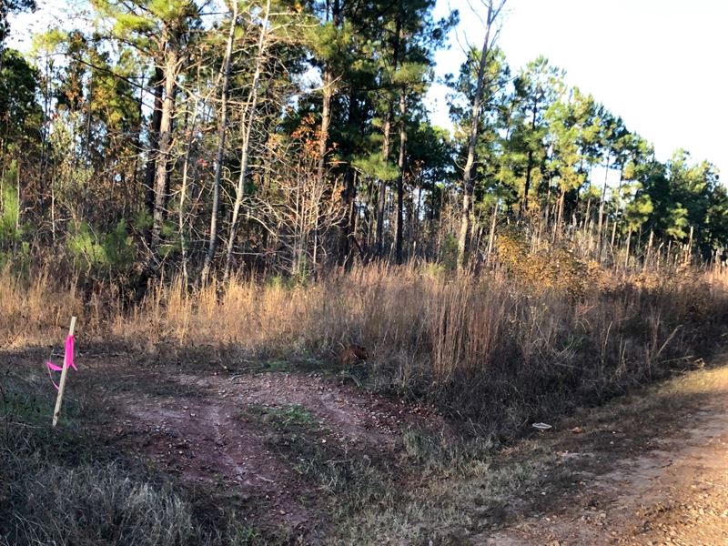 Jordan Rd At Goolsby Rd Lot-C : Monticello : Jasper County : Georgia