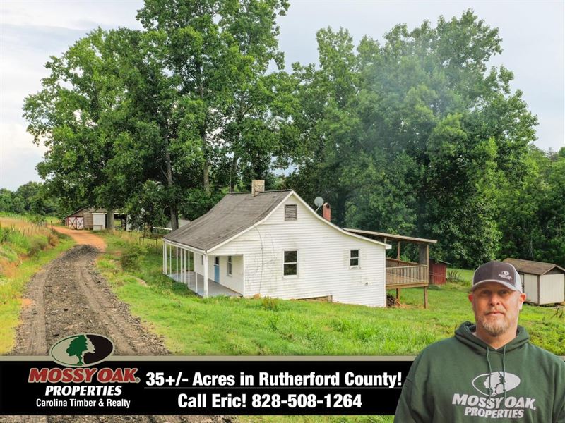 35 Acres Farmland in Ellenboro : Ellenboro : Rutherford County : North Carolina