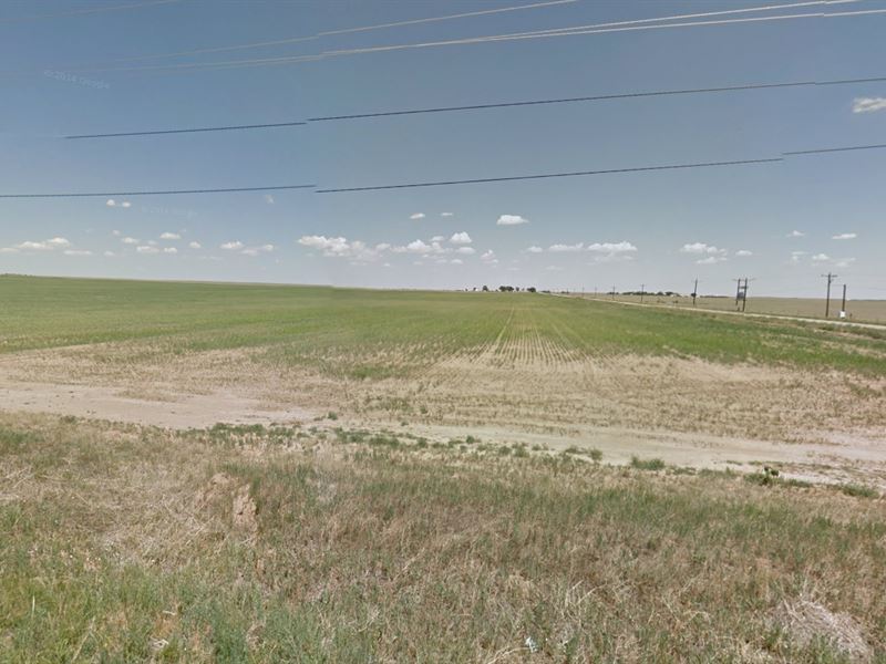 46.29 Acres El Paso County, Co : Colorado Springs : El Paso County : Colorado