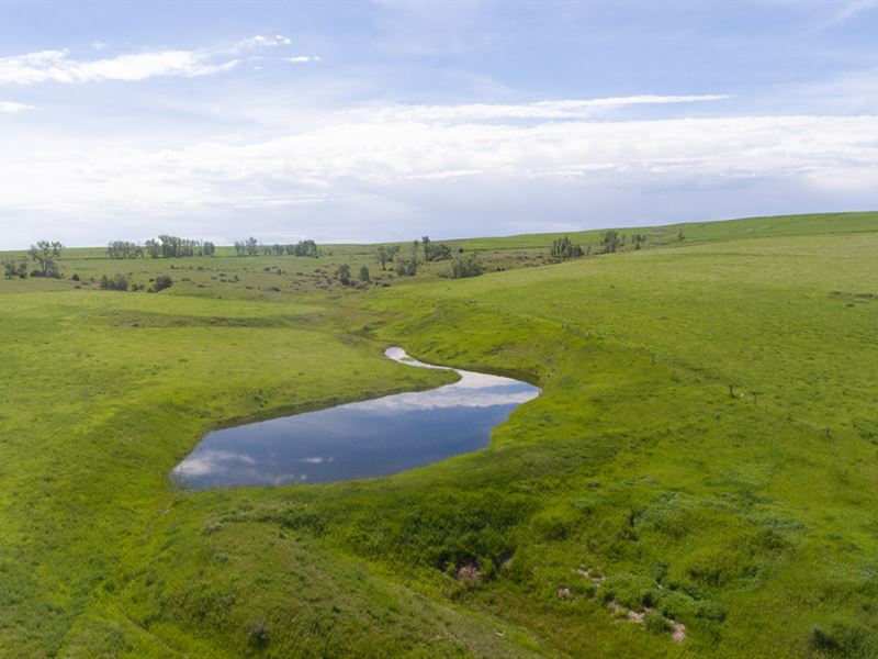 Highline Road Ranch : Roberts : Carbon County : Montana