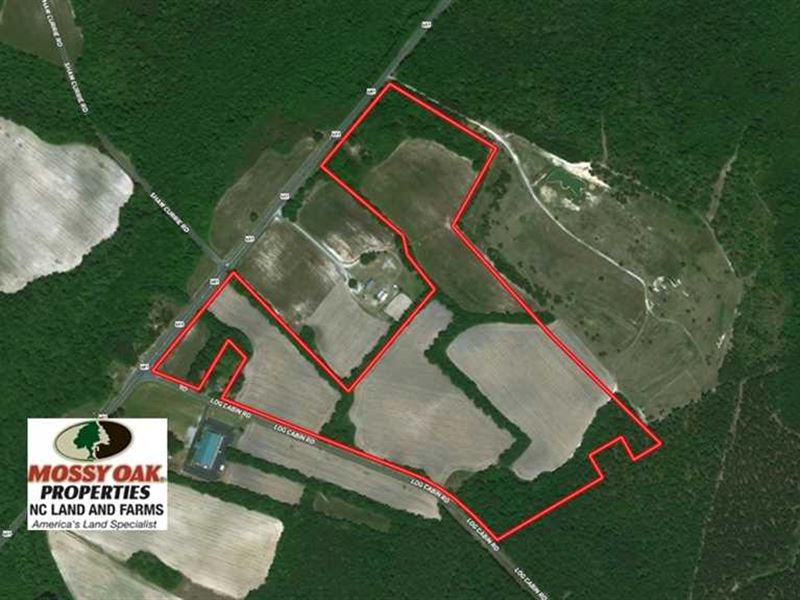62 Acres of Farm and Hunting Land : Laurinburg : Scotland County : North Carolina
