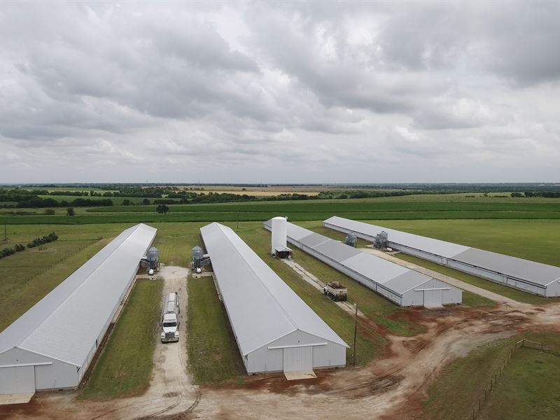 4 House Pullet Farm with Contract : Bruceville-Eddy : Falls County : Texas