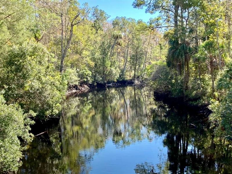 Florida Hunting Land River, Levy : Inglis : Levy County : Florida