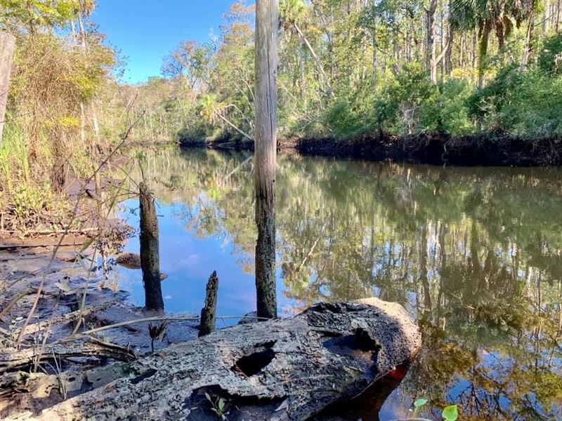 Florida Hunting Land 182 Acres Levy : Inglis : Levy County : Florida