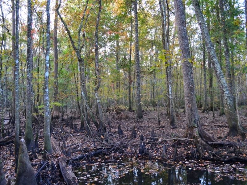 Little Ohoopee, Ranch for Sale in 184581 RANCHFLIP