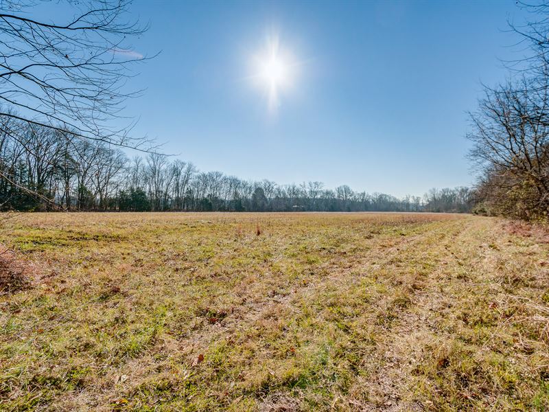 Great Location : Franklin : Williamson County : Tennessee