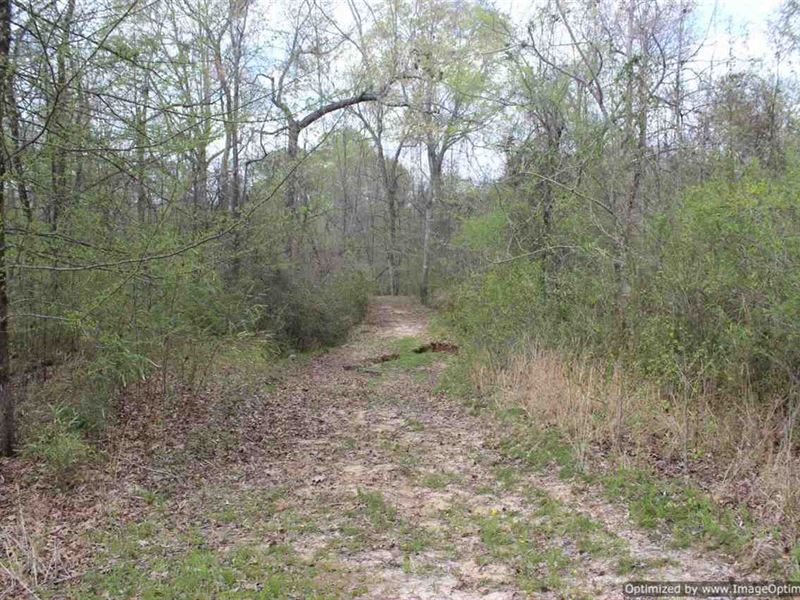 Hunting Tract : Satartia : Yazoo County : Mississippi