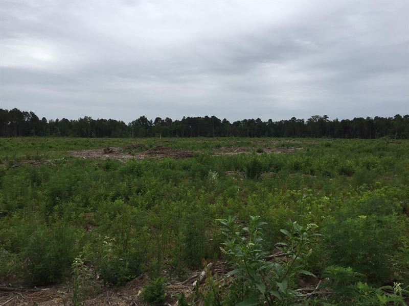 Elkins Rd Tract, Ouachita Parish, 1 : West Monroe : Ouachita Parish : Louisiana