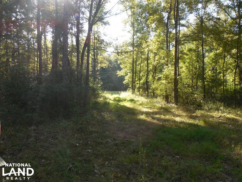 O'quinn South Tract, 66.8Ac : Harriston : Jefferson County : Mississippi
