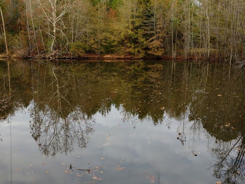 20 Ac Pond, Barn, Deep Well : Barnesville : Lamar County : Georgia