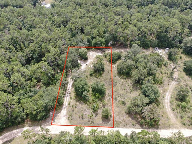 Awesome One Acre Lot with A Cabin : Lee : Madison County : Florida