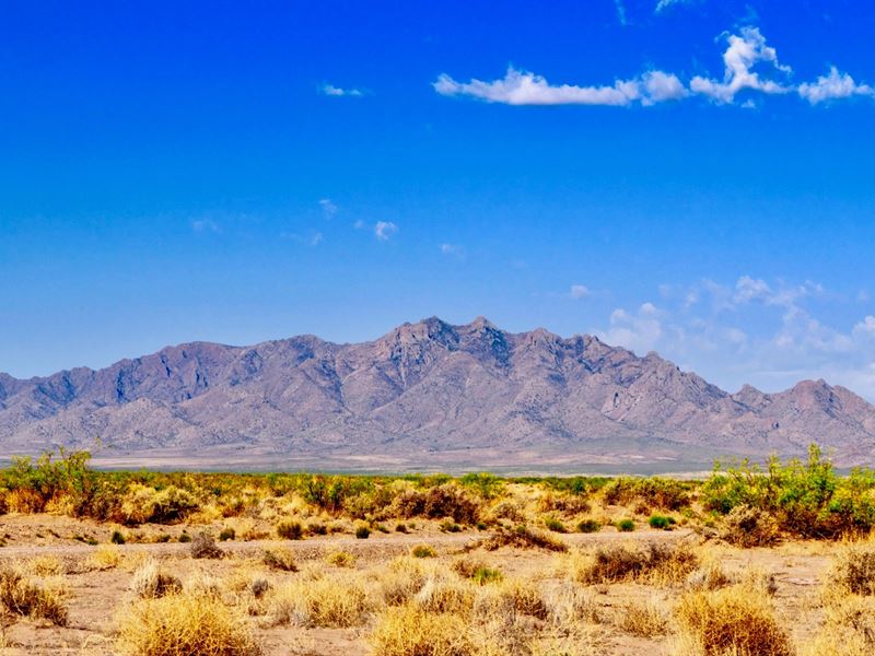 Ranch, Road Frontage & Electricity : Deming : Luna County : New Mexico