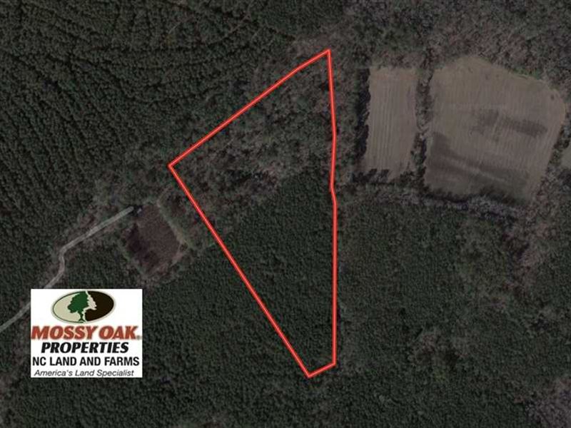 Under Contract, 23 Acres of Hunti : Machipongo : Northampton County : Virginia