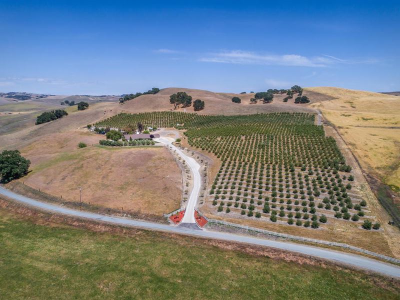 Simply Stunning Views : San Miguel : Monterey County : California