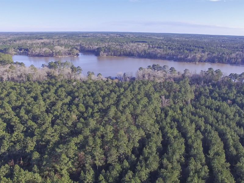 11 Ac Cr 3180 T-18 : Colmesneil : Tyler County : Texas