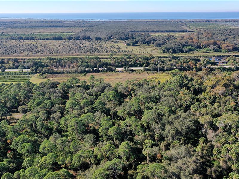 Okeechobee 28 Acres : Okeechobee : Okeechobee County : Florida