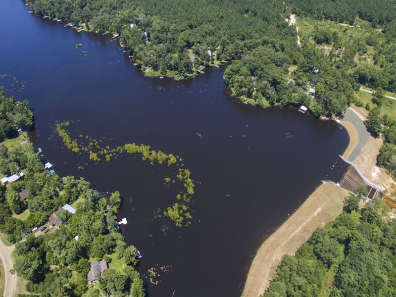 11 Ac Tyler County Getaways T-9 : Colmesneil : Tyler County : Texas