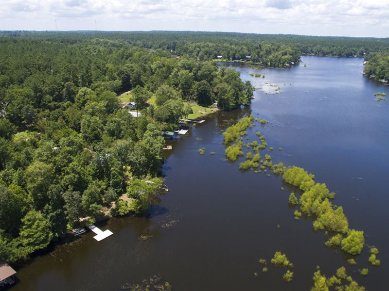 12 Ac Tyler County Getaways T-11 : Colmesneil : Tyler County : Texas