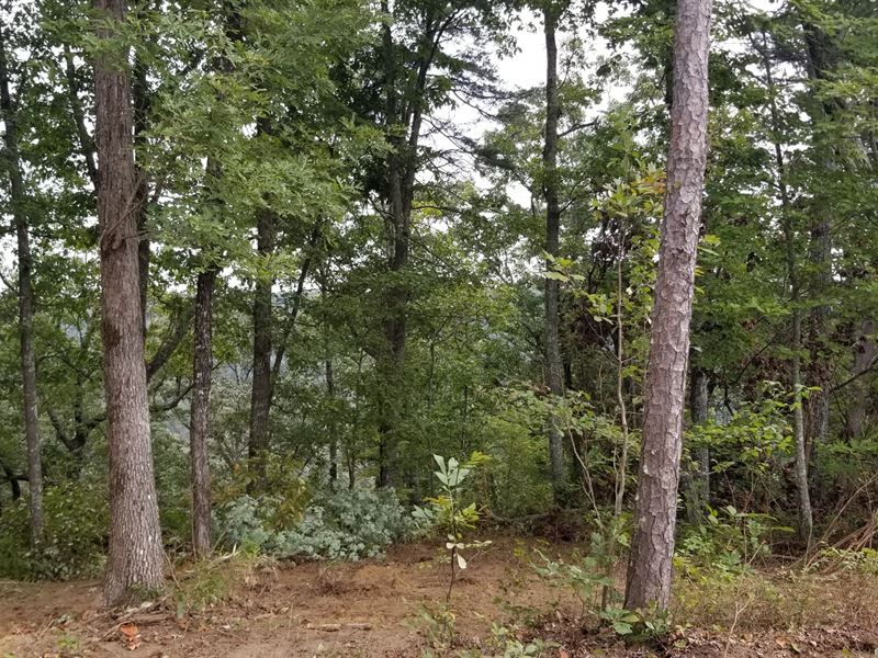 13.35+/- Acres Mtn Views : South Pittsburg : Marion County : Tennessee